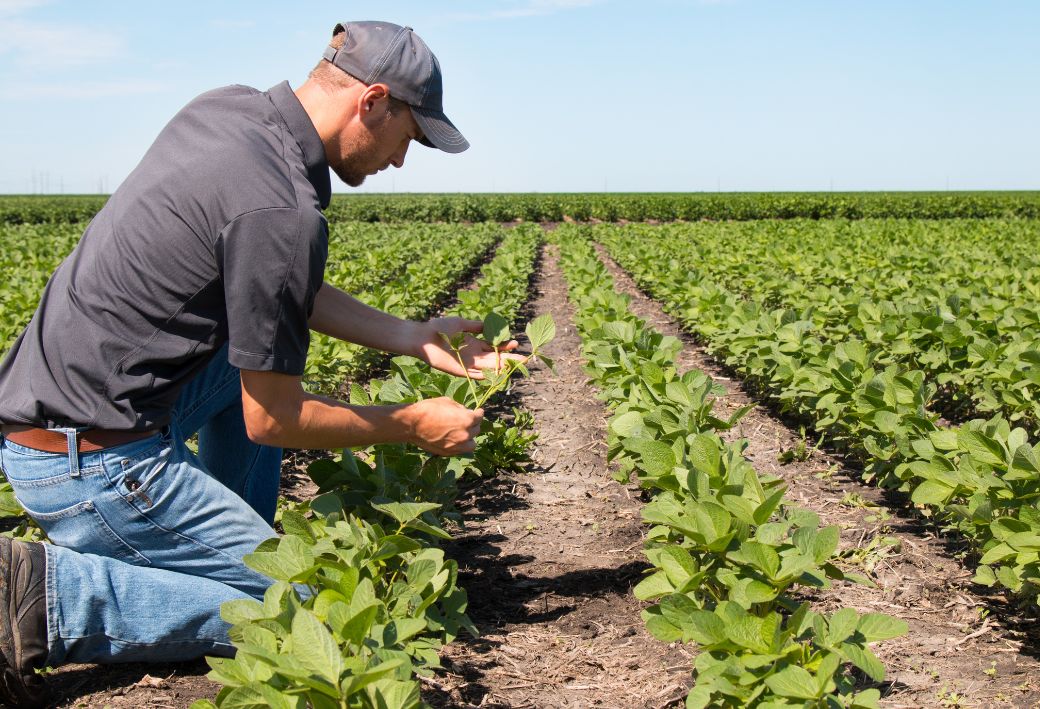 fenntarthato-mezogazdasag