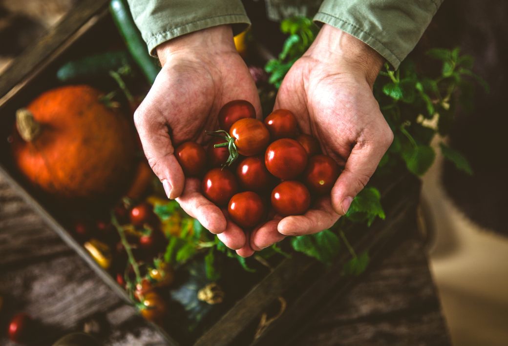 egyszerusitett-foglalkoztatas-mezogazdasagi-munka