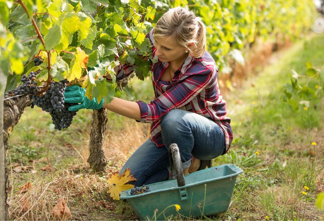 adoszamla-ertesites-gazdalkodok