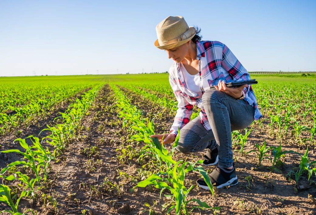 agrargazdasagi-kerelem 2026